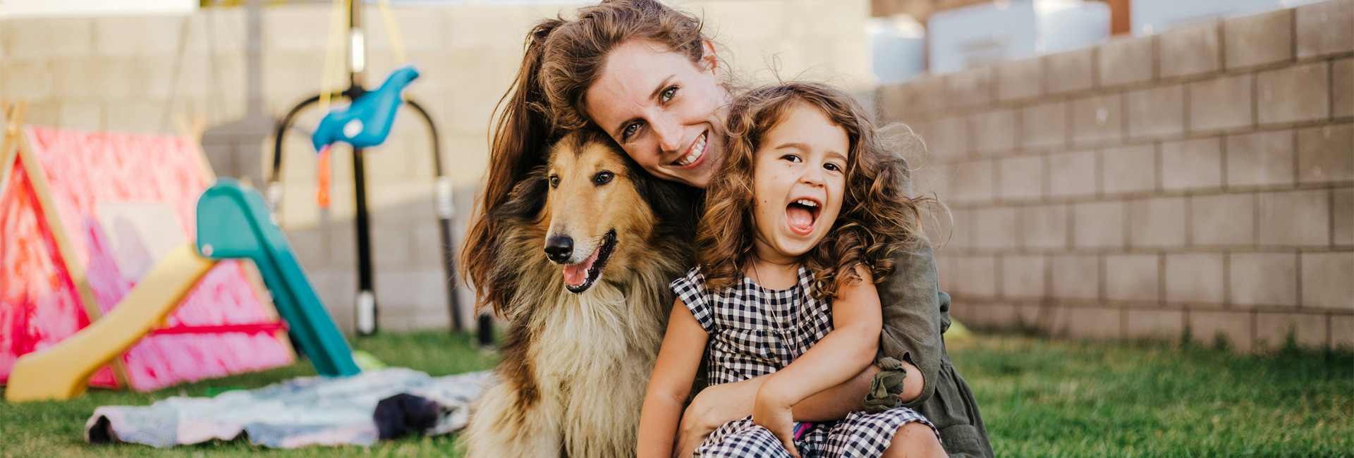 Top 10 gezinshonden: welke hond past bij jouw gezin?