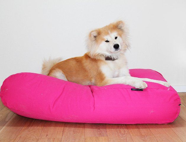 Dog's Companion® Hondenkussen roze medium