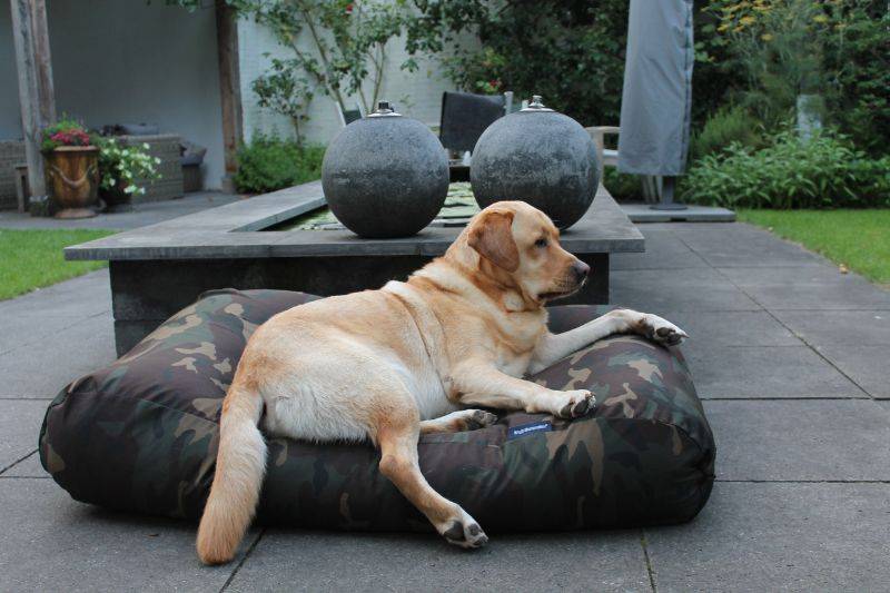 Dog's Companion® Hondenbed army large