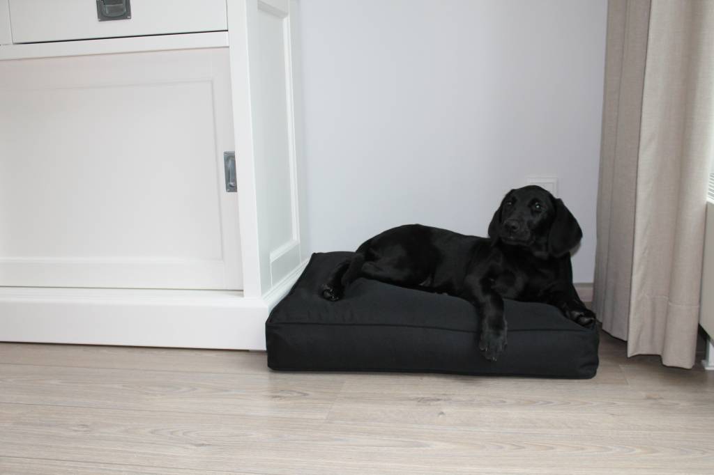 Dog's Companion® Zwart benchkussen 65 x 50 x 10 cm