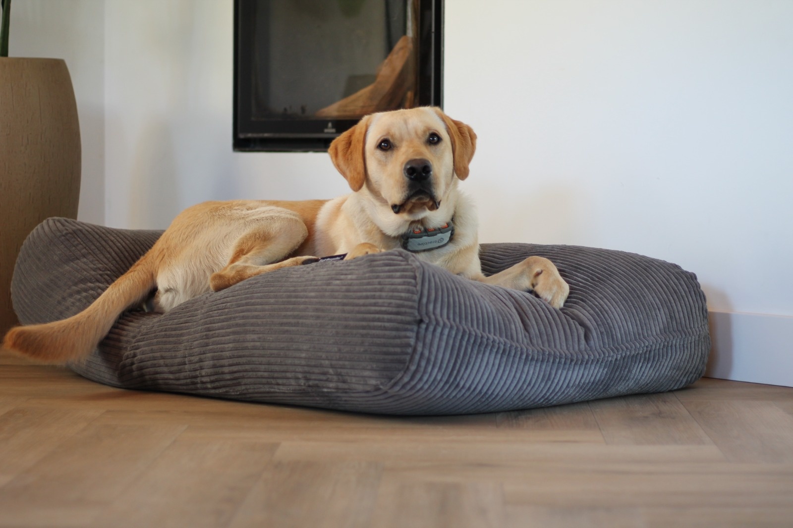 Dog's Companion® Hondenbed muisgrijs giant ribcord large