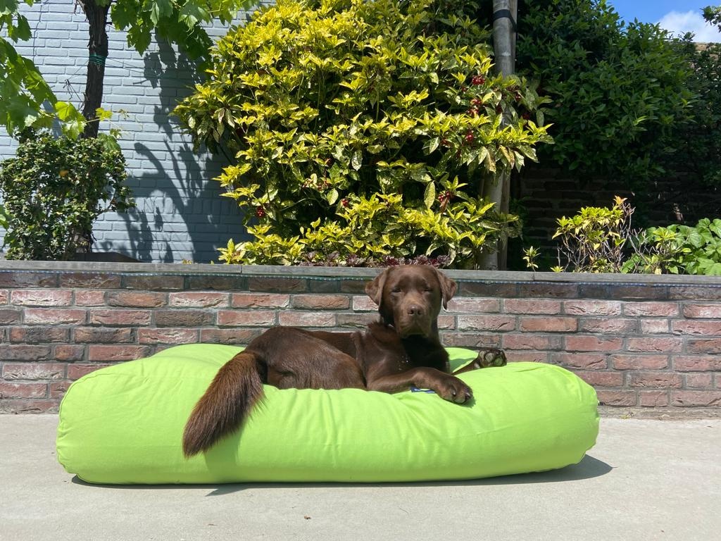 Dog's Companion® Hondenbed lime medium