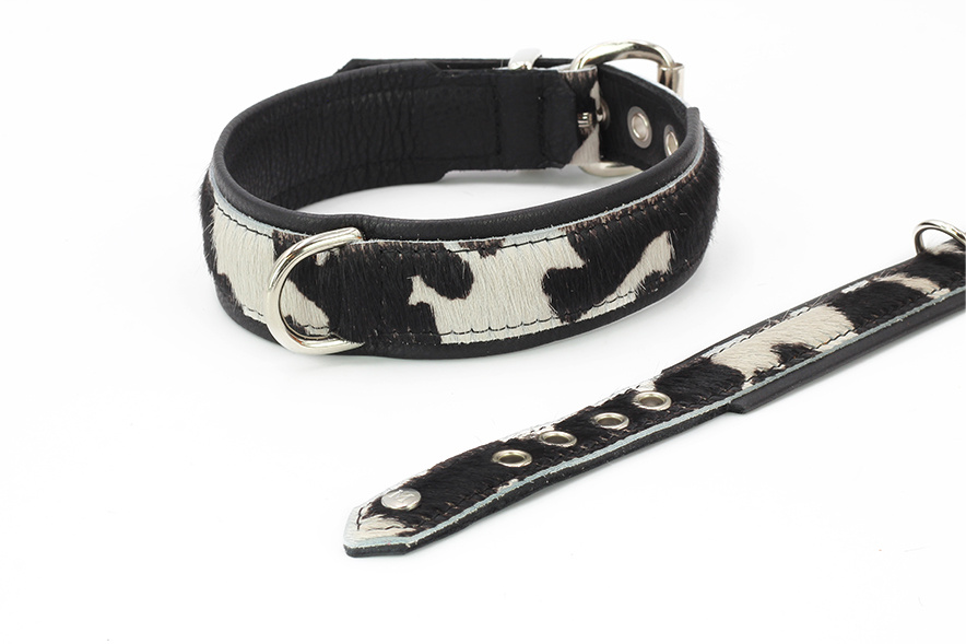 Leren halsband met koeienprint, zwart/zilver, 60 cm / 35 mm