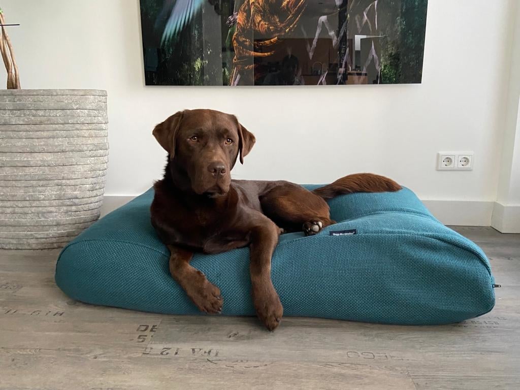 Dog's Companion® Hondenbed Copenhagen petrol
