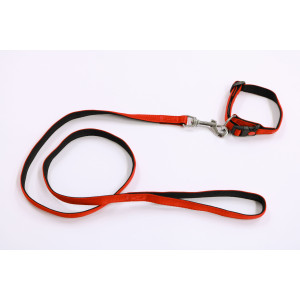 Nylon halsband gevoerd met looplijn 15 mm x 120 cm Zwart