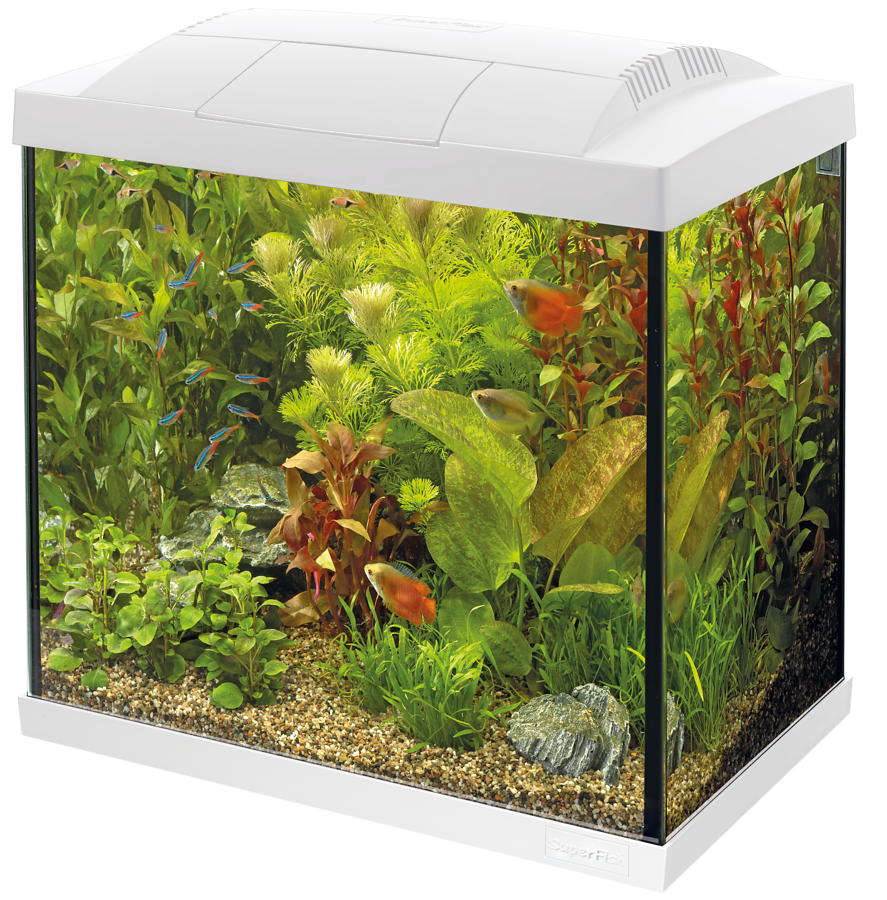 SuperFish - Start 50 Tropical Kit Wit