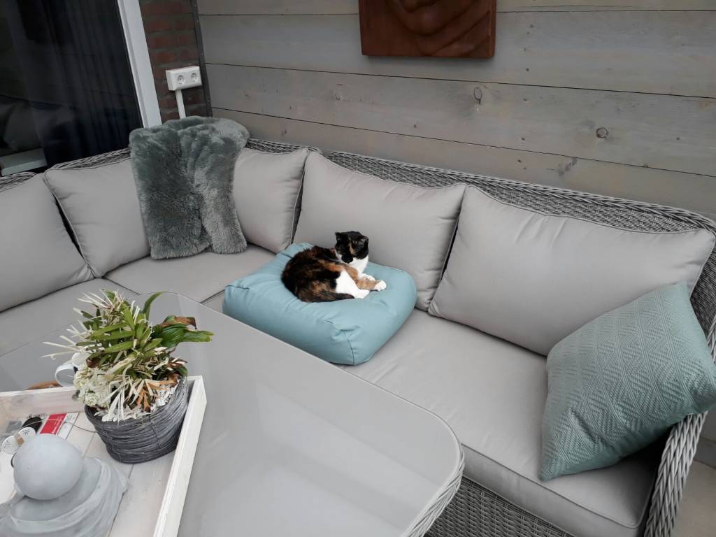 Dog's Companion® Kattenkussen ocean