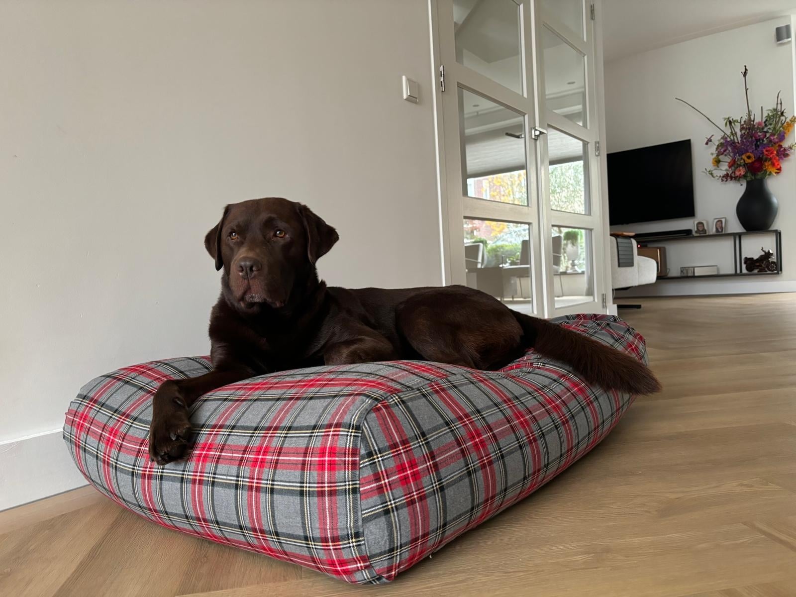 Dog's Companion® Hondenbed Scottish grey superlarge