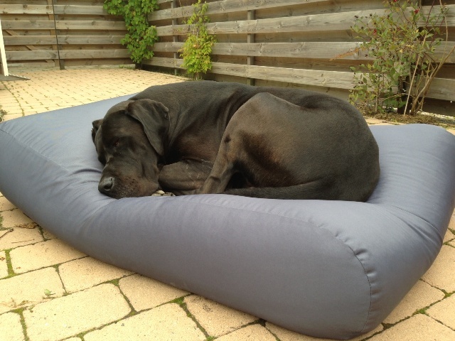 Dog's Companion® Hondenbed staalgrijs vuilafstotende coating small