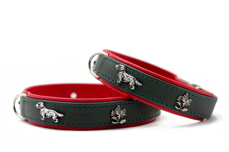 Halsband teckel 35, 40, 45cm / 24mm groen / rood / zilver