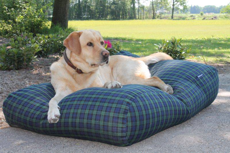 Dog's Companion® Hondenbed black watch extra small