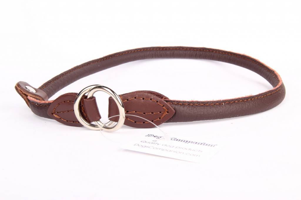 Leren sliphalsband hond (chroom)