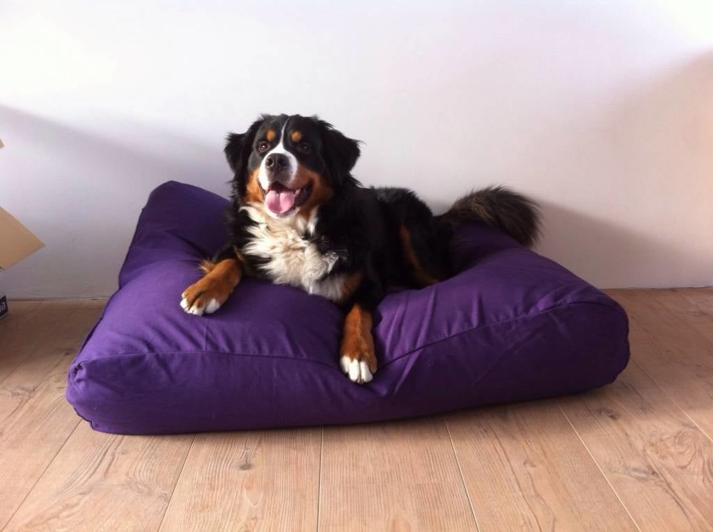 Dog's Companion® Hondenbed paars