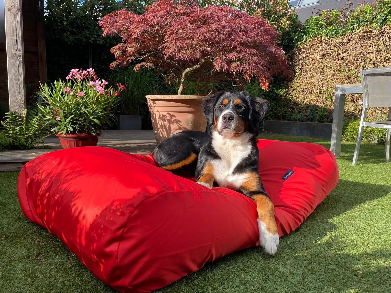Dog's Companion® Hondenbed rood vuilafstotende coating large