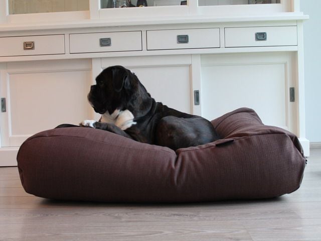 Dog's Companion® Hondenbed chocolade bruin (meubelstof) small