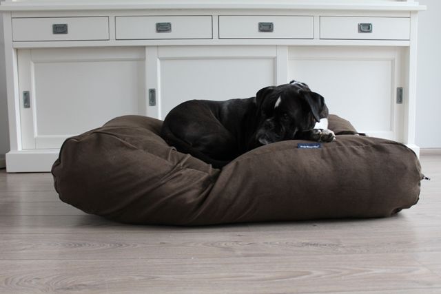 Dog's Companion® Hondenbed natuurlijk bruin ribcord extra small