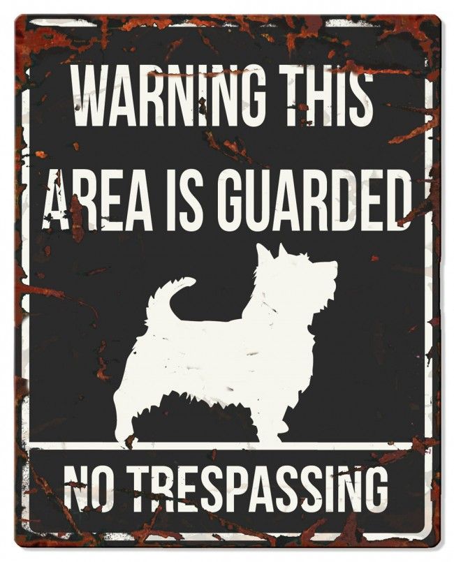 D&D - Waarschuwingsbord Square Terrier (zwart)