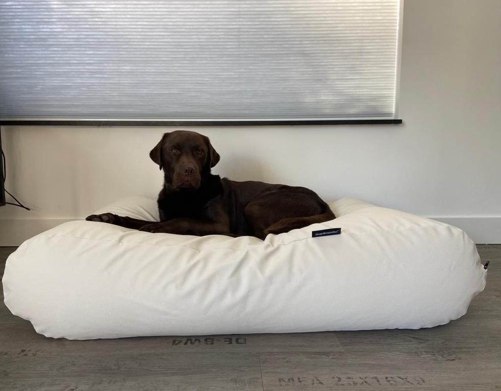 Dog's Companion® Hondenbed ivory leather look extra small