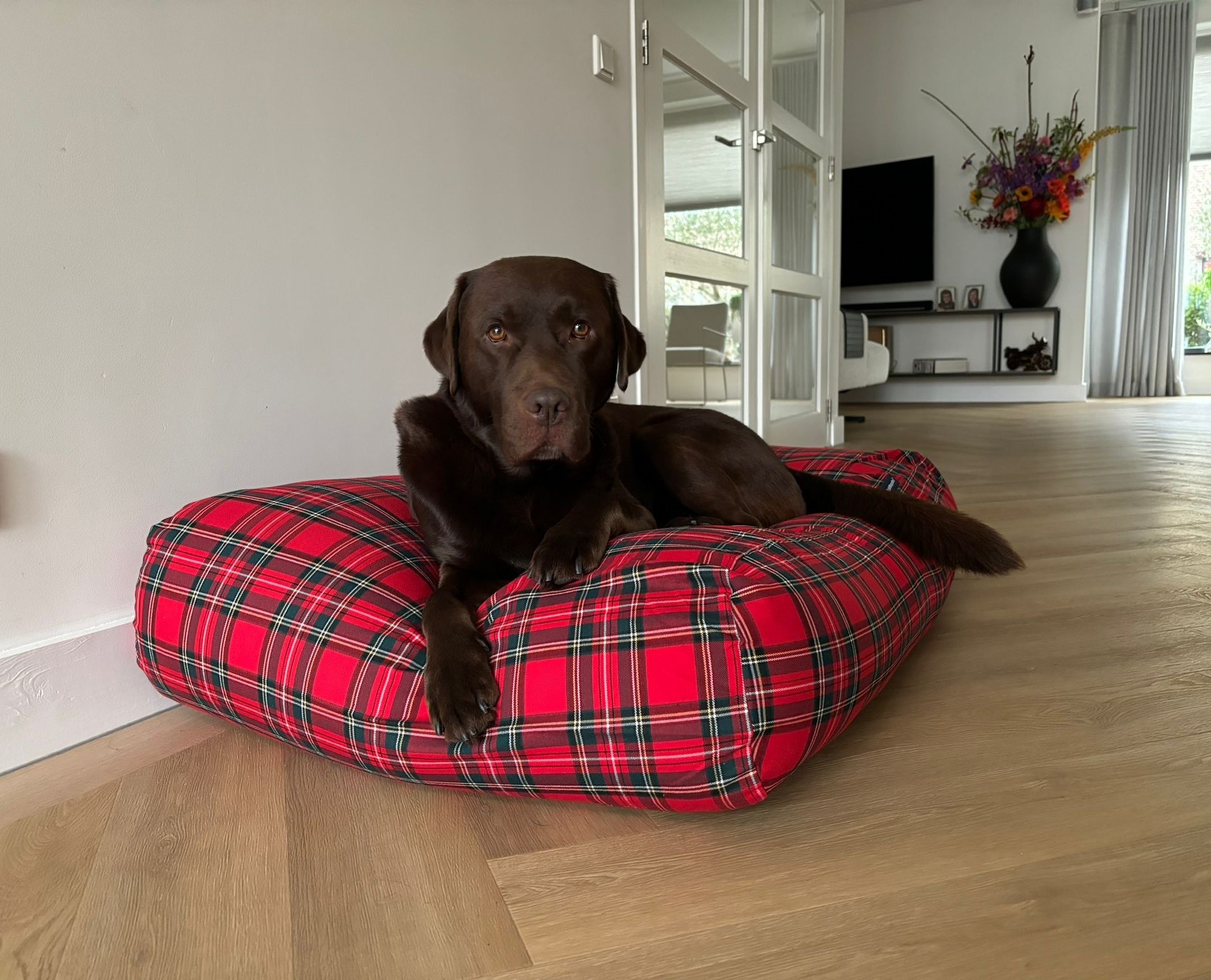 Dog's Companion® Hondenbed royal stewart small