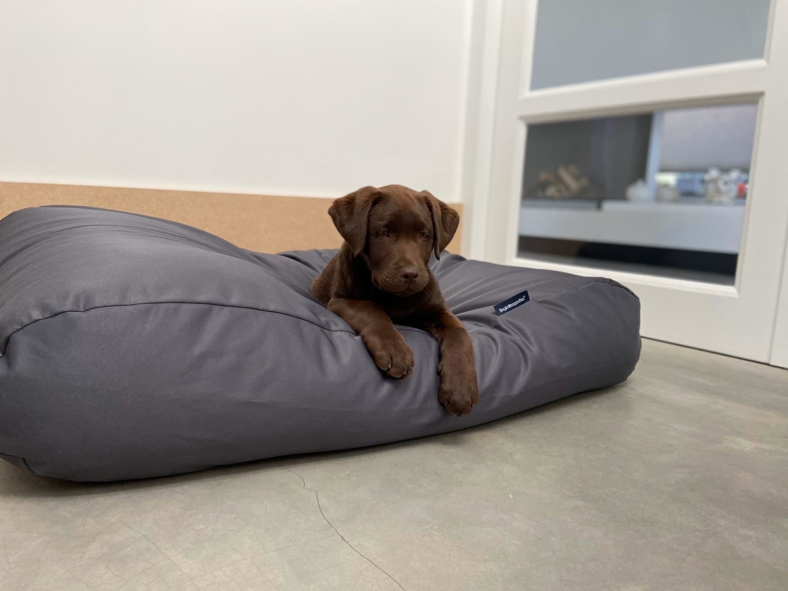 Dog's Companion® Hondenbed charcoal vuilafstotende coating extra small