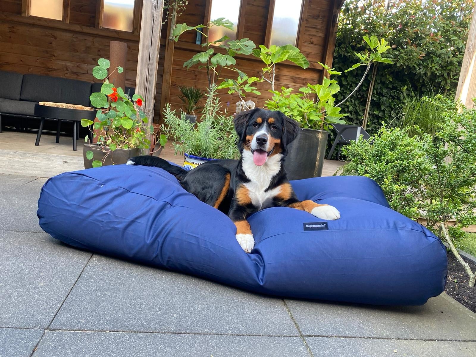 Dog's Companion® Hondenbed donkerblauw vuilafstotende coating large