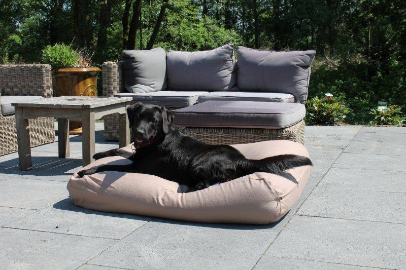 Dog's Companion® Hondenbed walnut (meubelstof) extra small