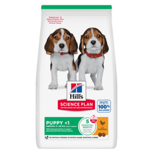 Hill's Puppy Medium met kip hondenvoer 6 kg