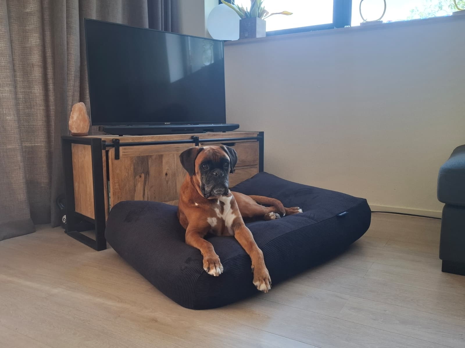 Dog's Companion® Hondenkussen zwart soft ribcord