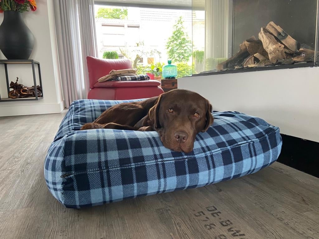 Dog's Companion® Hondenkussen fleece cosy blue superlarge