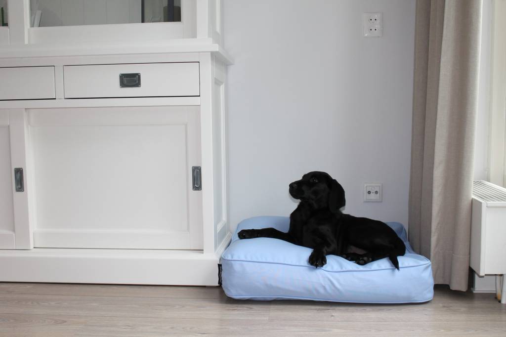 Dog's Companion® Benchkussen 68 x 62 x 10 cm lichtblauw
