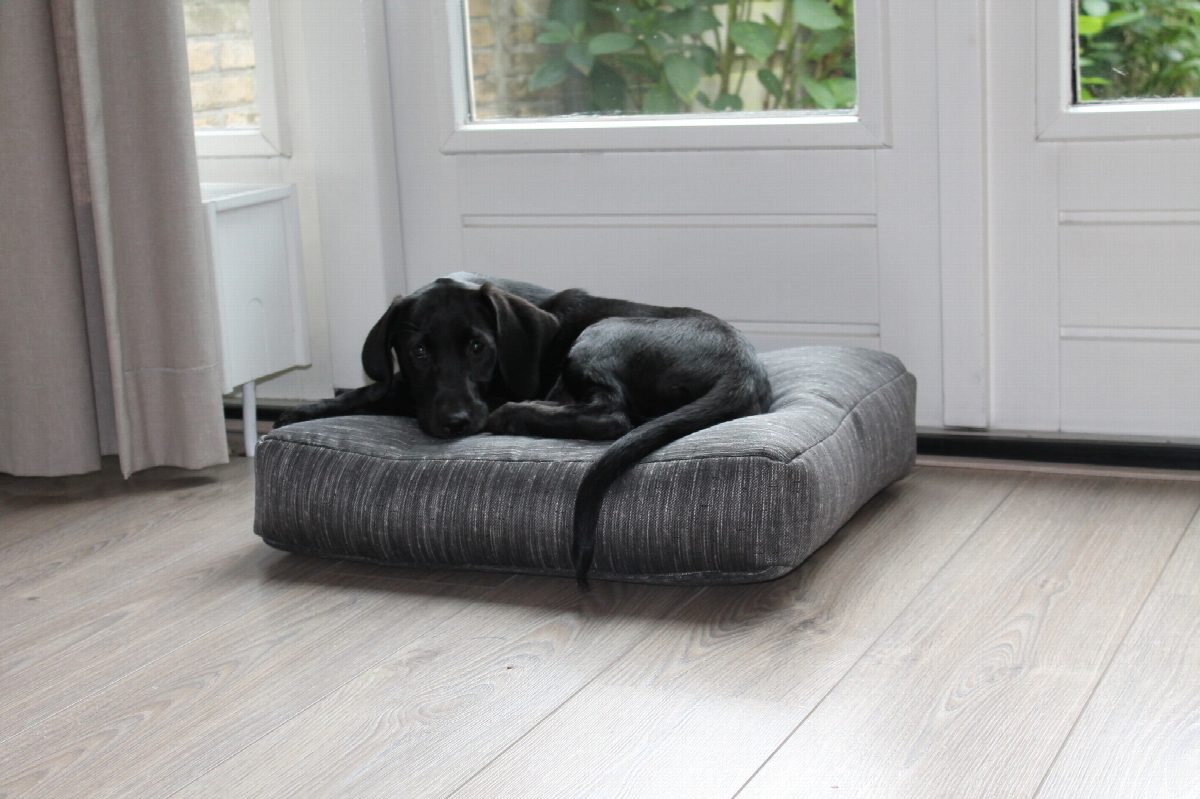 Dog's Companion® Tweet donkergrijs benchkussen 58 x 45 x 12 cm