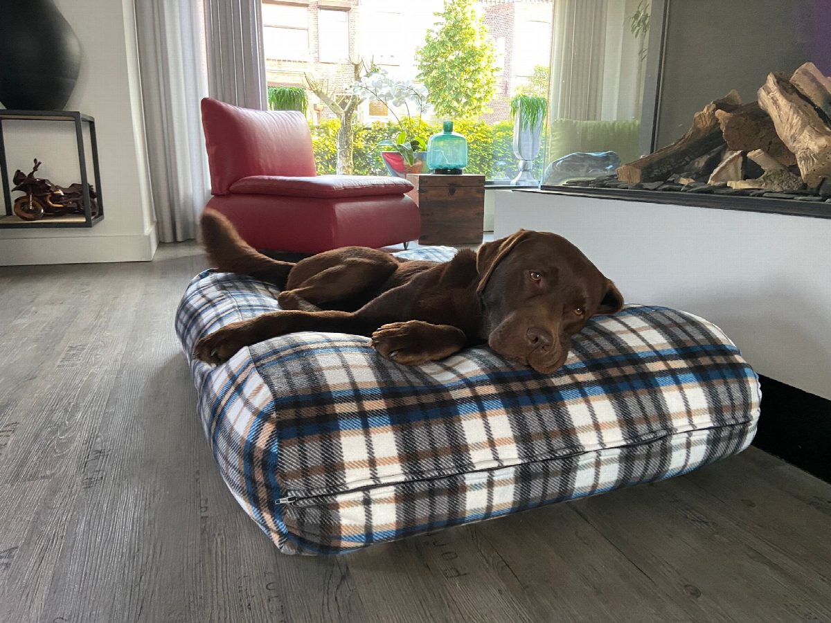 Dog's Companion® Hondenkussen fleece cosy tartan