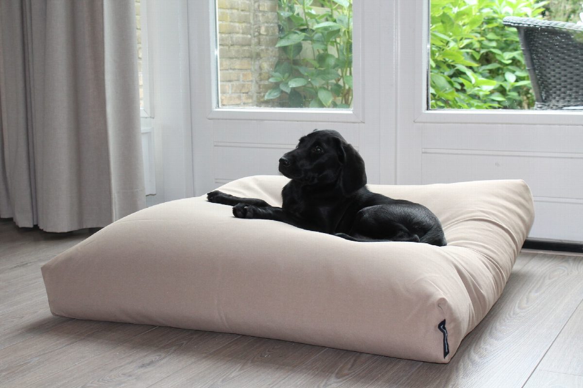 Hondenkussen 96 x 89 x 12 cm beige