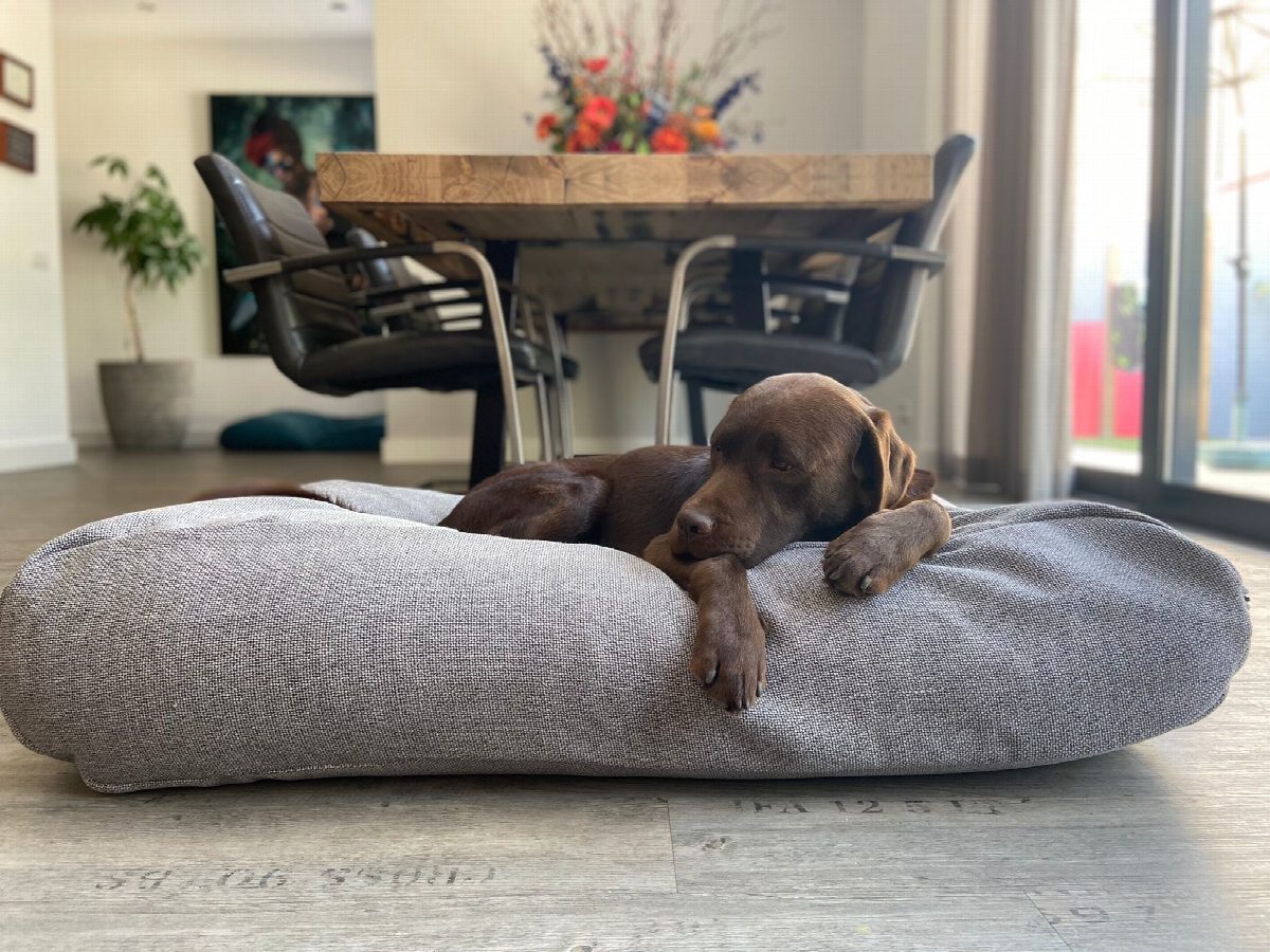 Dog's Companion® Hondenbed tweed grey extra small