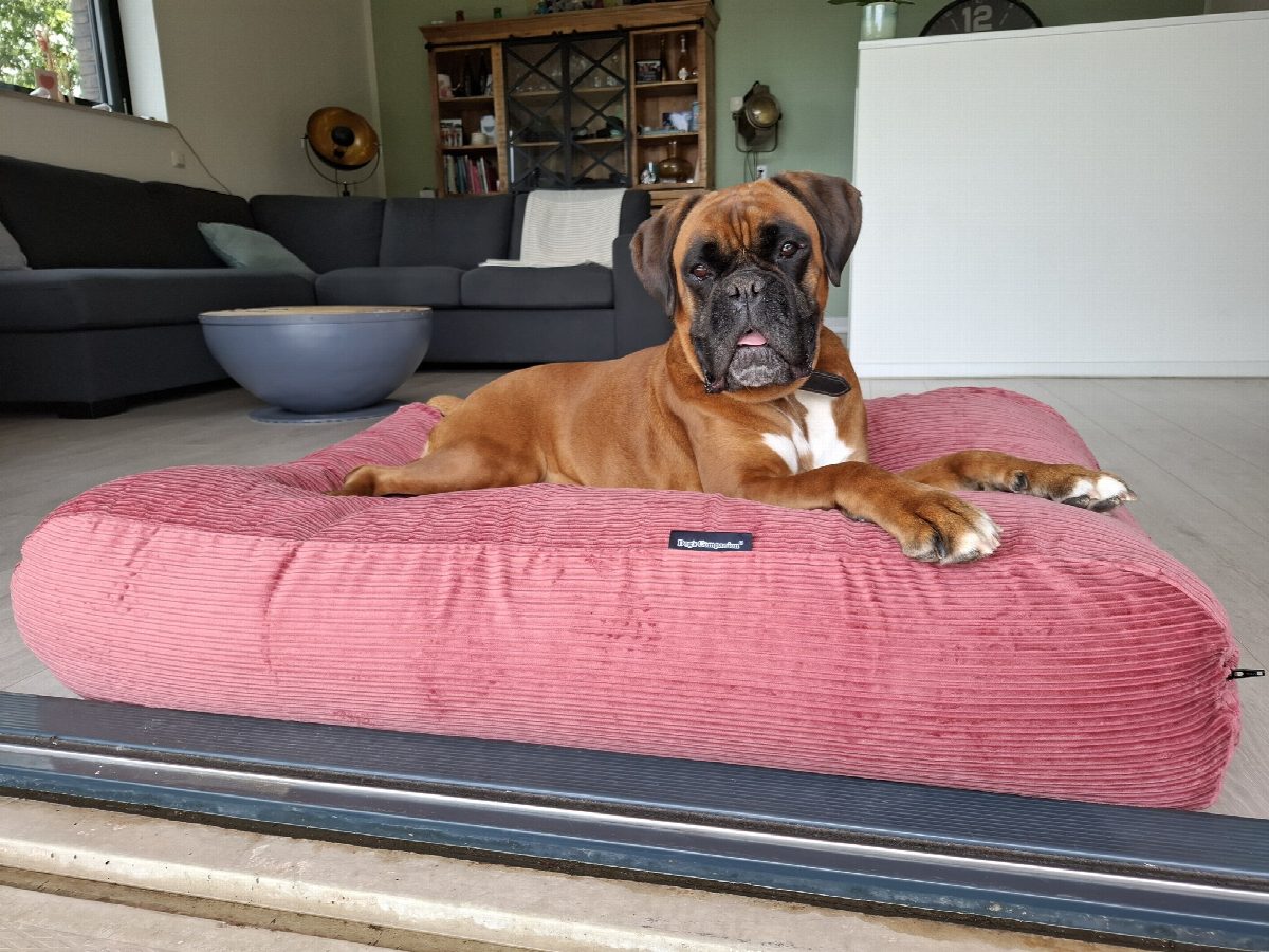 Dog's Companion® Hondenbed oud roze double ribcord medium