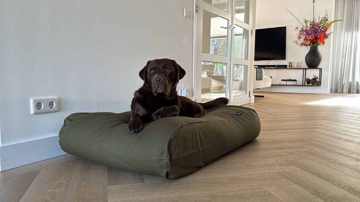 Dog's Companion® Hondenbed hunting superlarge
