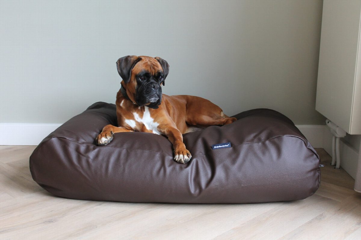 Dog's Companion® Hondenbed chocolade bruin leather look small