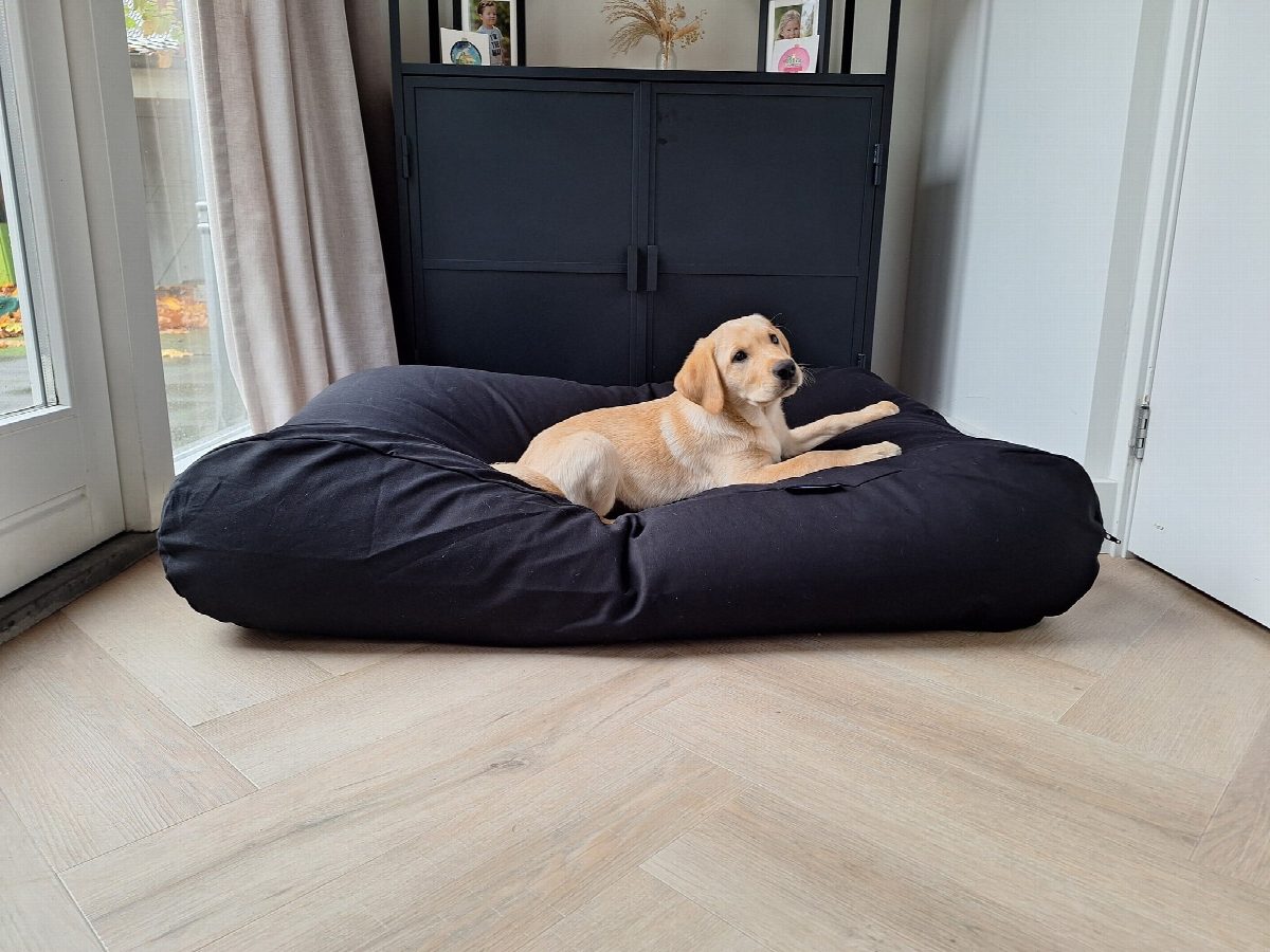 Dog's Companion® Hondenbed zwart large