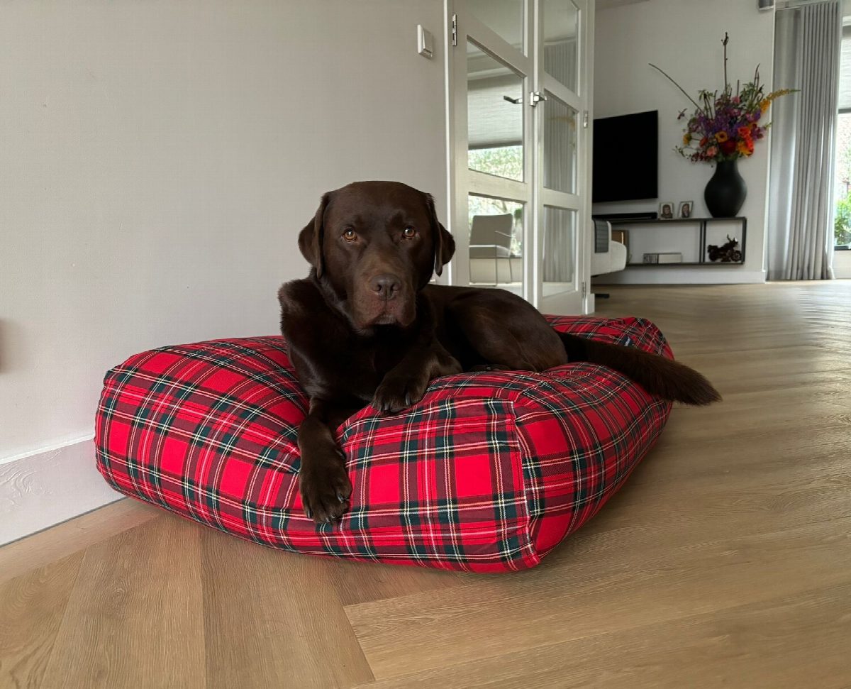 Dog's Companion® Hondenbed royal stewart large