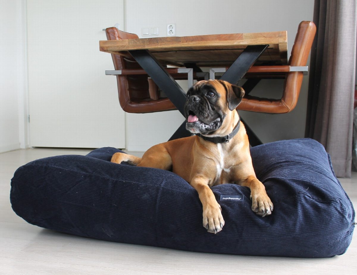 Dog's Companion® Hondenbed donkerblauw ribcord extra small
