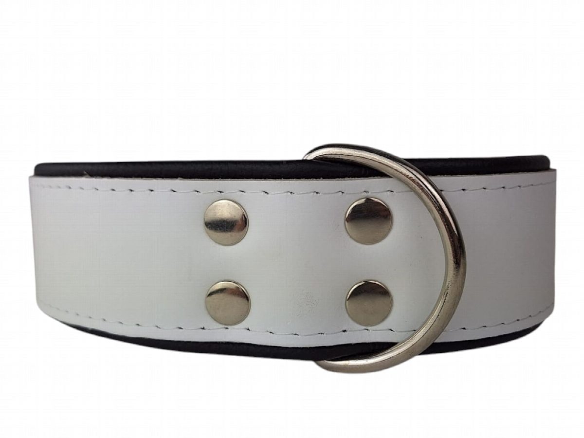 Leren hondenhalsband wit / zwart