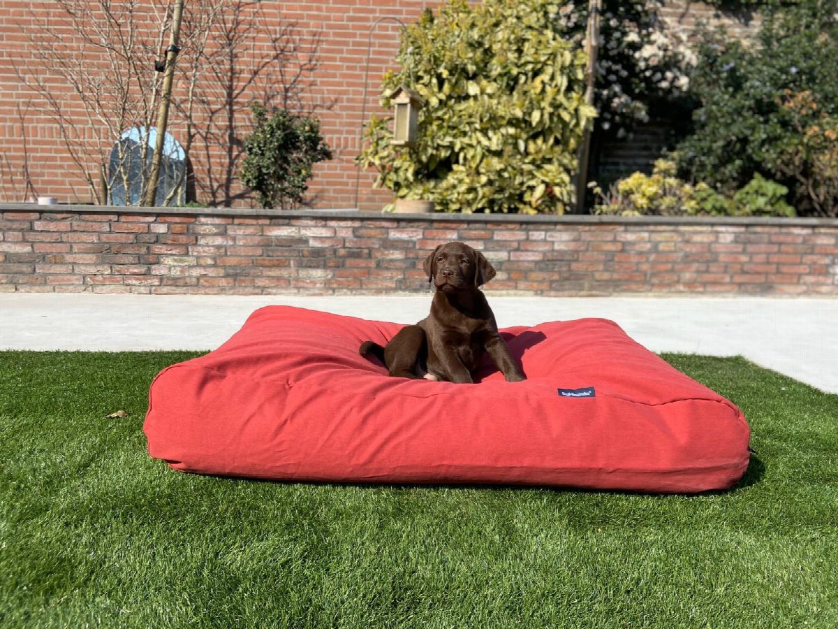Dog's Companion® Hondenbed steenrood extra small