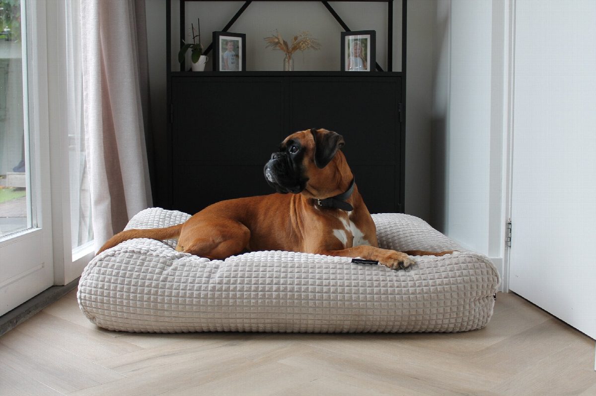 Dog's Companion® Hondenbed little square soft sand medium
