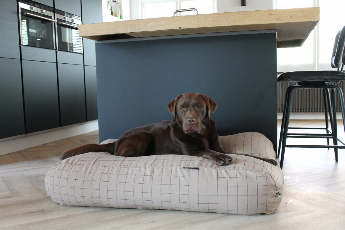 Dog's Companion® Hondenbed Manhattan camel superlarge