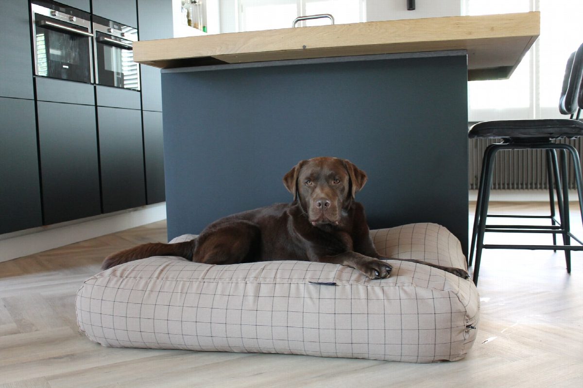 Dog's Companion® Hondenbed Manhattan camel