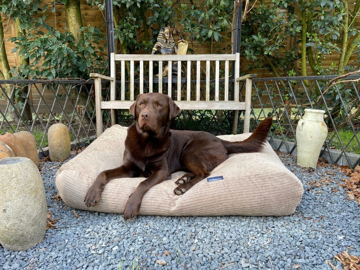 Dog's Companion® Hondenbed lever double ribcord