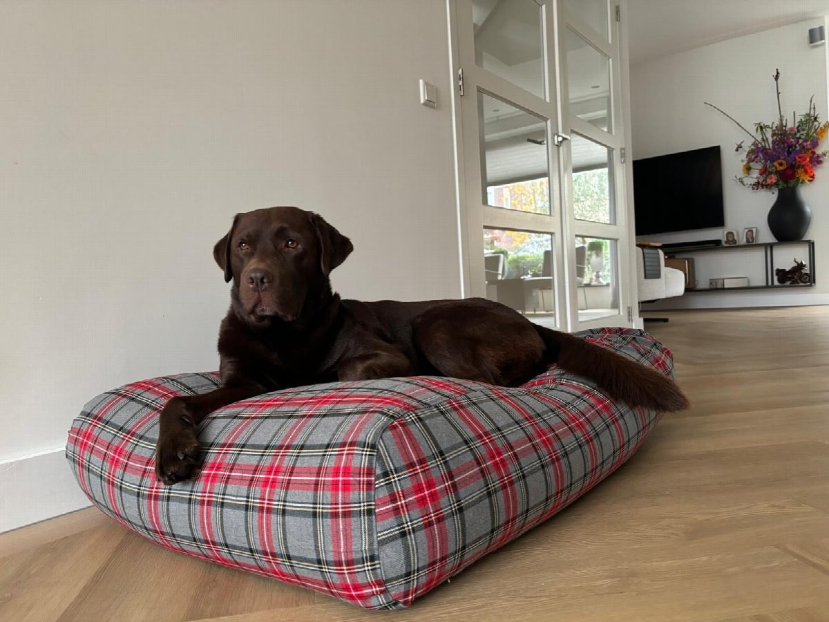 Dog's Companion® Hondenbed Scottish grey superlarge
