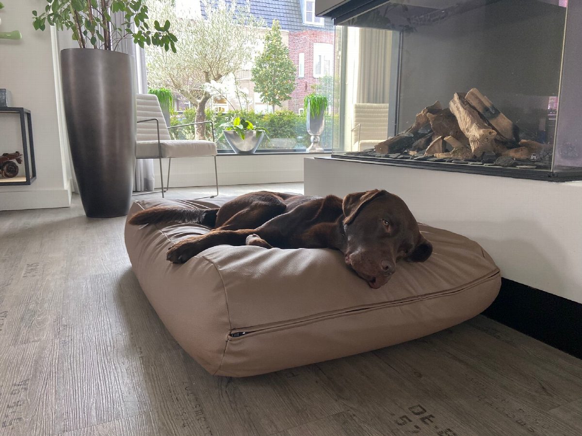 Dog's Companion® Hondenbed taupe leather look extra small