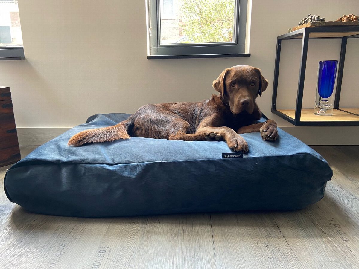 Dog's Companion® Hondenbed strong midnight blue velvet extra small