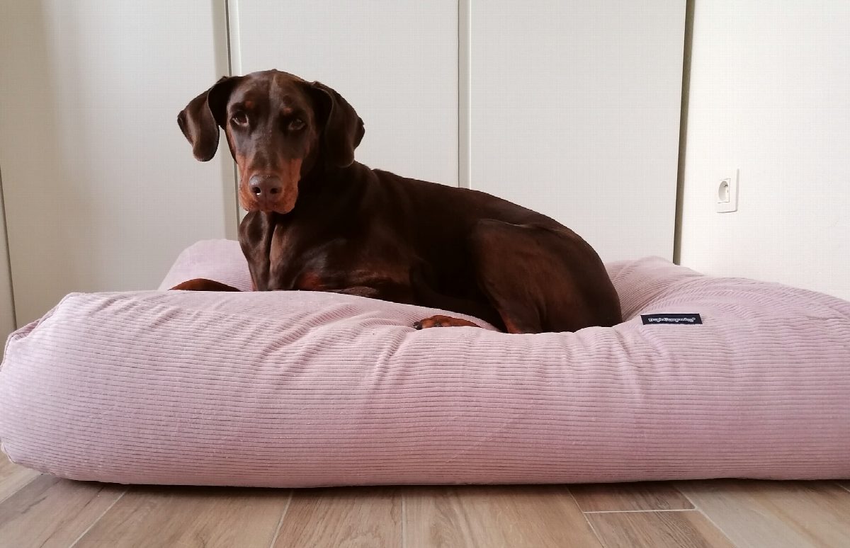 Dog's Companion® Hondenbed lichtroze ribcord